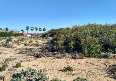 Casa Vacanze Appartamento Palobianco Piano Terra